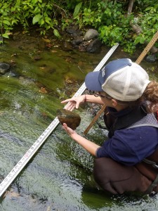 Kelley, our Monitoring Technician, holds up a stadia rod to help measure the slope of the creek. Behind her, you can see down the stream channel and imagine what completing this survey was like. The stream channel was extremely choked with vegetation, making it difficult to walk through, but at least it wasn’t poison oak!