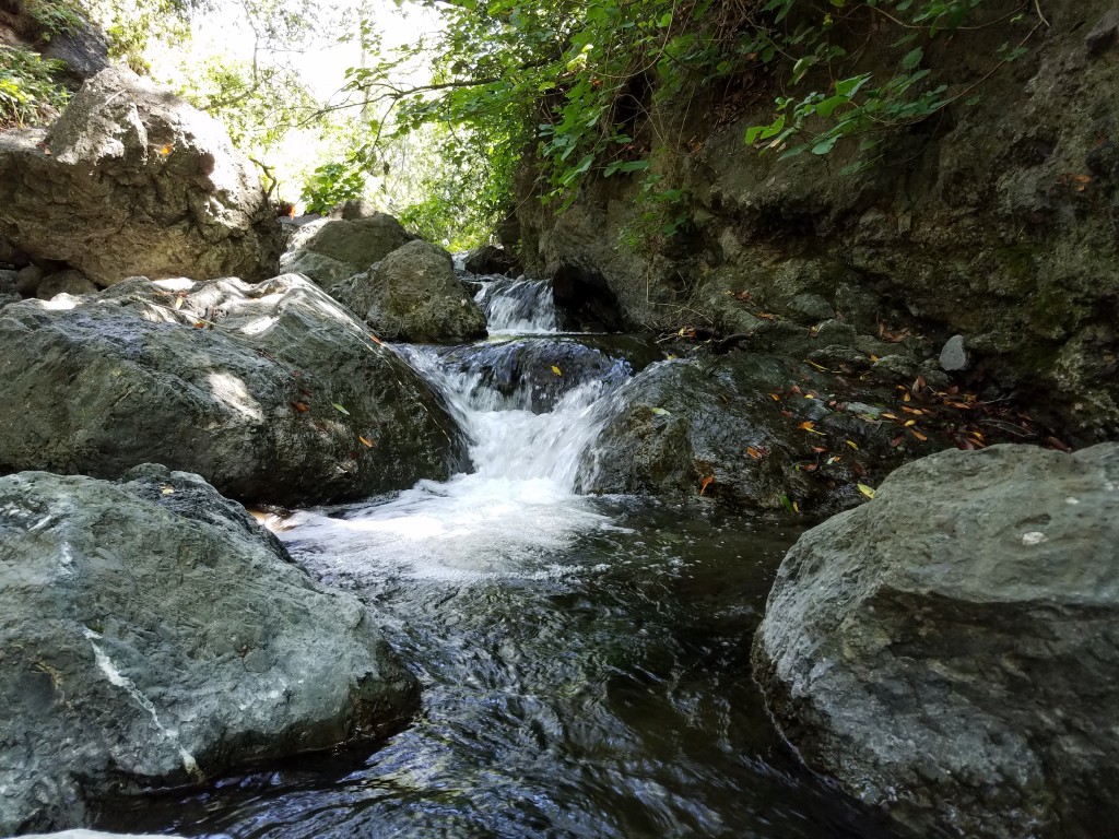 Pennington Creek, with healthy bug scores and the potential for trout sightings and a variety of habitat features is always one of our favorite surveys to complete.