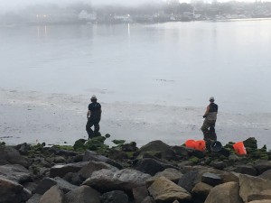 Two staff members survey the scene and get ready to section off the work area.