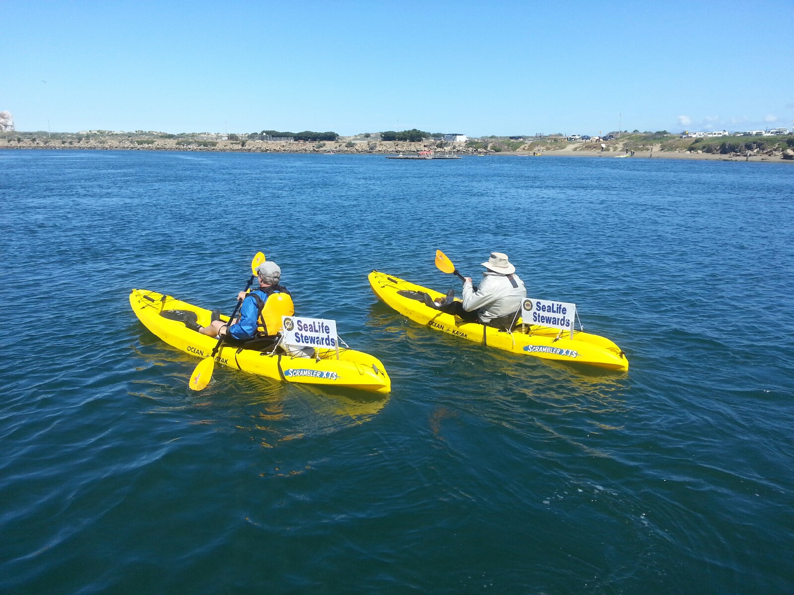 Two SeaLife Stewards volunteers paddle out on the Morro Bay estuary.