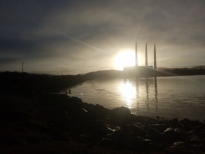 : Staff and some hearty volunteers were in the water, collecting eelgrass while the sun rose up over the stacks.