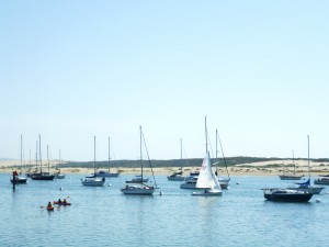 View of the Morro Bay sandspit from the Embarcadero during the daylight hours.