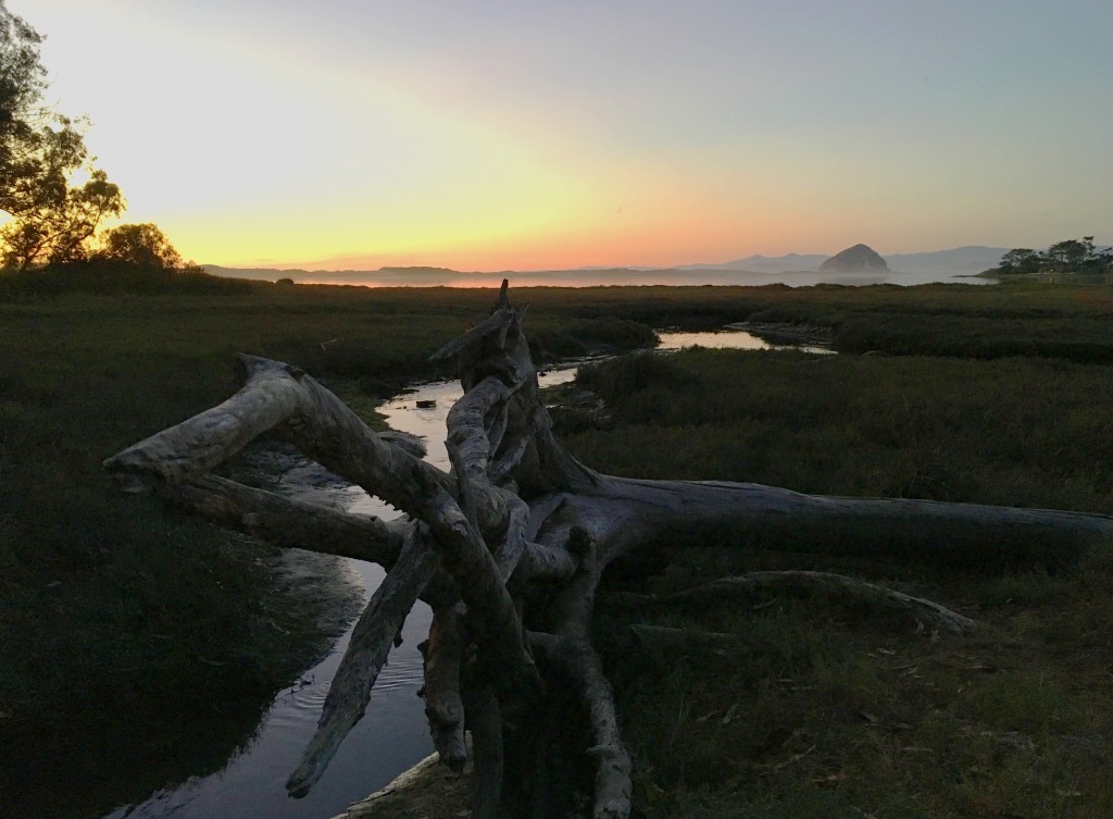 Sweet Springs, looking out at Morro Rock at sunset. 