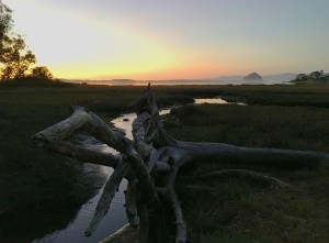 Sweet Springs, looking out at Morro Rock at sunset.