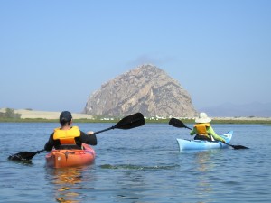 A parent and child explore the estuary by kayak. The Estuary Program protects and restores the bay for people and wildlife. We hope to continue this work for generations to come.