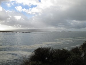 Salty ocean water enters the bay through the harbor mouth. During big storms, like the one pictured above, waves can even wash over the jetty.