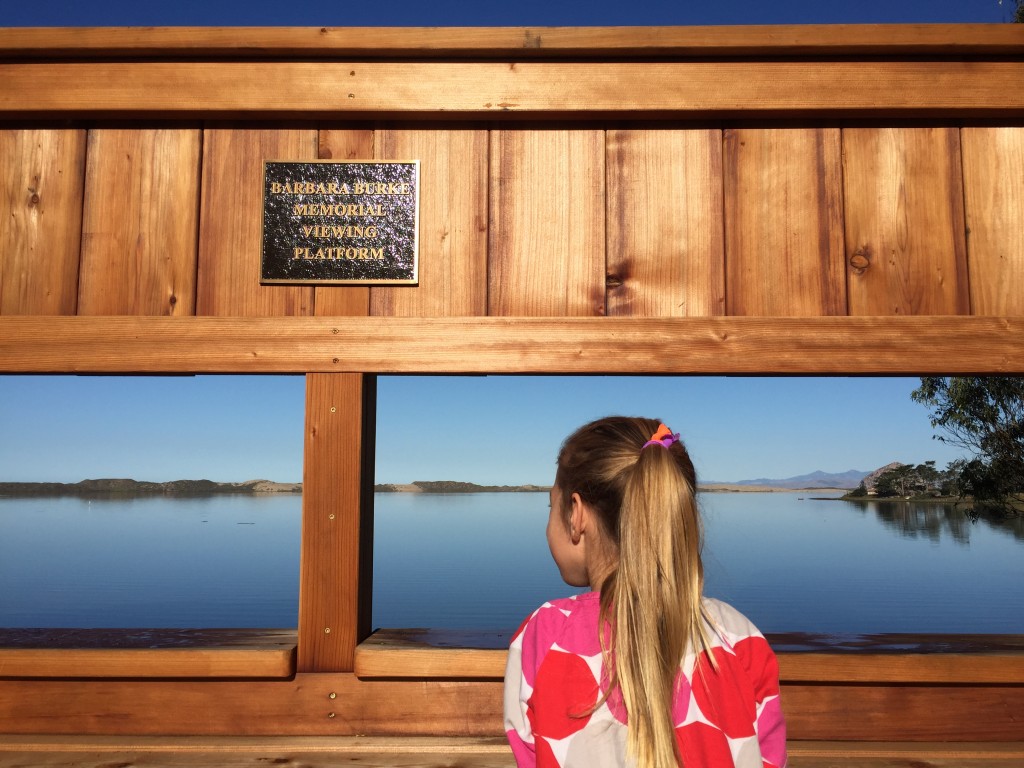 Sweet Springs is a great spot for nature-lovers of all ages. Here, a child admires the view from the new bird blind in the East Sweet Springs expansion. 