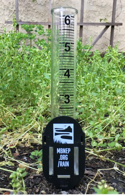 Place your free Estuary Program rain gauge in your home yard, garden, outside the window of your classroom or office, or anywhere else that allows you to check it regularly. 