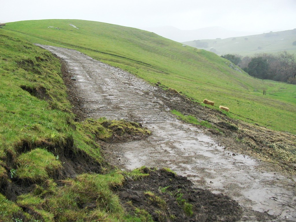 In the photograph above, sediment erodes from a dirt road during a rainstorm. This sediment can enter streams and end up in the bay. 