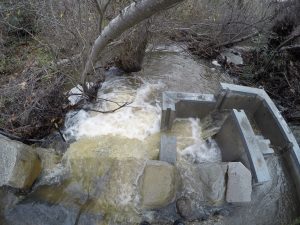 You can see one of our PTDs on the lower left of this photo. This one held up through the high flows of last winter, but you can imagine why surveying them is important!