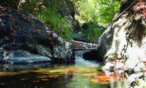 Pennington Creek waterfall from a distance