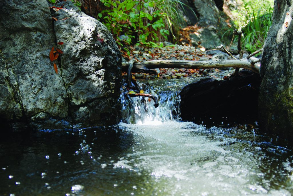 Pennington Creek waterfall closeup