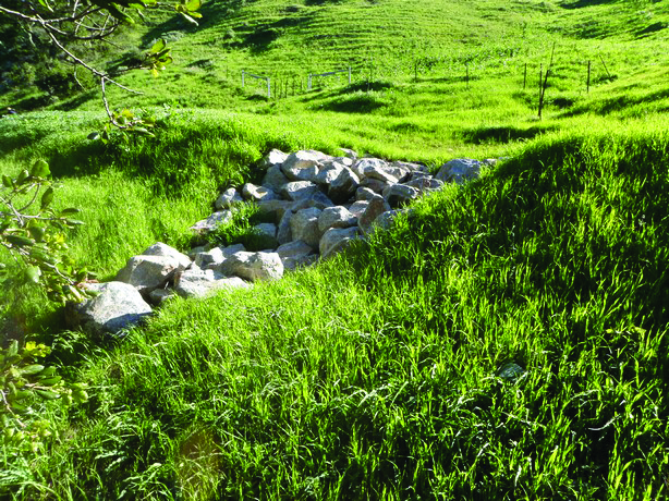 The rocks in this photo provide armoring to prevent rain runoff from causing erosion. This protects both Cal Poly’s road and the fish and other wildlife living in nearby creeks.
