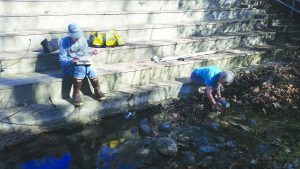 Estuary Program volunteers conduct monthly monitoring on Pennington Creek in the Rancho El Chorro Outdoor School campus. The collected data, like water temperature and oxygen, indicate whether the creek would support sensitive fish like steelhead.