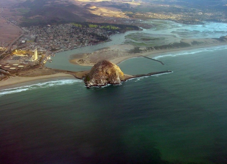 This aerial view of the Morro Bay watershed and estuary looks inland from Estero Bay inland to the Morros that line the edges of the watershed. All of the plant communities that we will cover in this blog series are contained in this small geographic area.