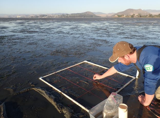 Tim, a Watershed Stewards Program member, plants seeds.