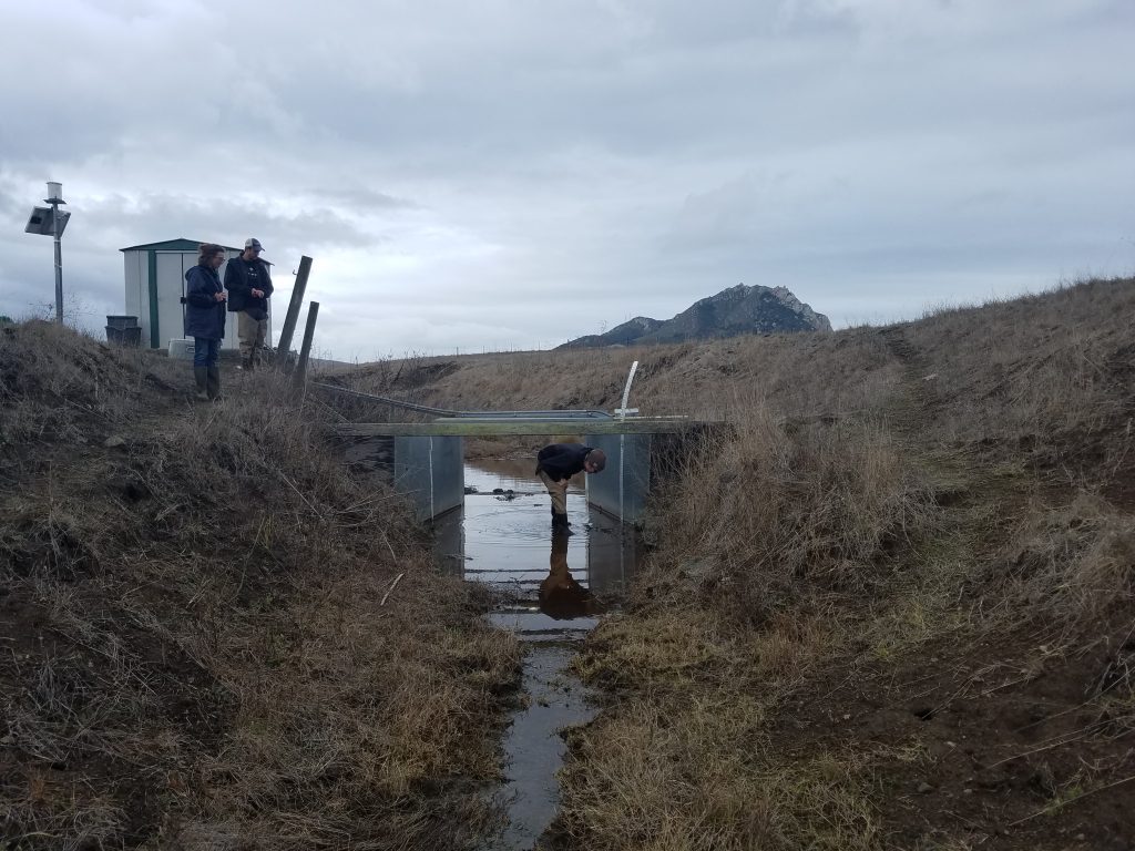 Our Field Technician, Matt, checks out substrate on the bottom of the flume, a structure in the creek used to help measure water level and flow.  