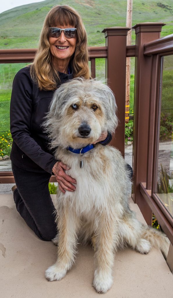 Diane, who volunteers many hours each year as our Mutts for the Bay Volunteer Coordinator, plays a large part in the success of the program. We're sure that Tobie, her adorable dog, pitches in when he can, too. Thank you, Diane!