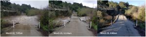 Our staff was out as the creek was still rising, early on Thursday morning.