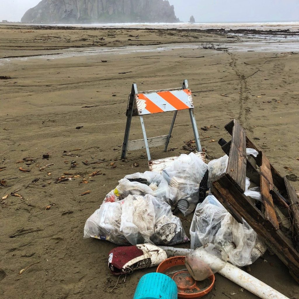 Photograph courtesy of ESTERO. Many thanks for your hard work in cleaning up the beach!