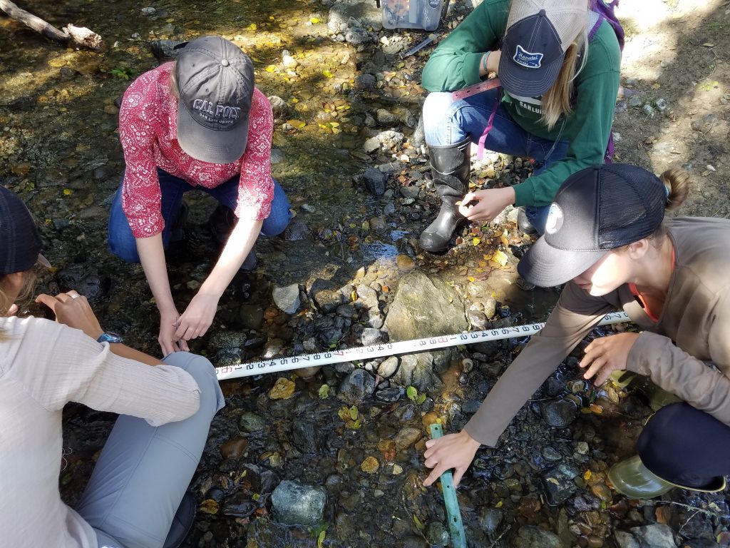 Volunteers practice taking rock measurements. Recording information such as the size of the rocks in the creeks helps us assess whether a creek is healthy habitat for fish and macroinvertebrates. 