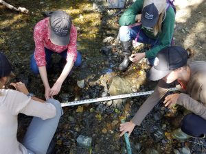 Volunteers practice taking rock measurements. Recording information such as the size of the rocks in the creeks helps us assess whether a creek is healthy habitat for fish and macroinvertebrates.
