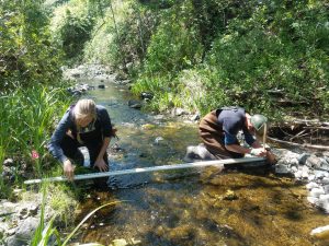 Volunteers work on measuring the width of the stream and depth of the water.