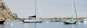 Boats in Morro Bay