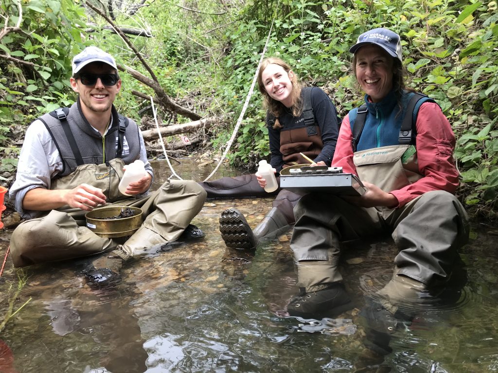 Monitoring team works in the middle of the creek. 