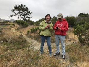 Paula and Tom enter observations into iNaturalist during the Snapshot Cal Coast 2018 effort.