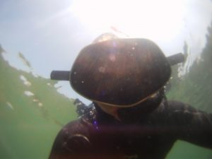 One of our staff members accidentally caught himself on camera while snorkeling to monitor the health of eelgrass beds.