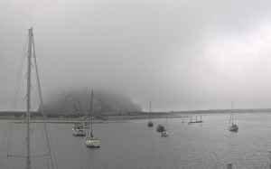 The fog rolled in this afternoon, enveloping all by the base of Morro Rock. This image is from our Baycam, which provides a live view of Morro Bay all day long.