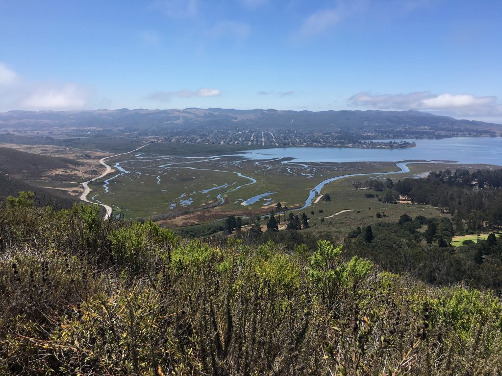 Estuary channels