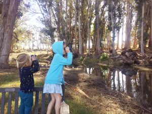 Sweet Springs Nature Preserve is a wonderful place to start bird watching.