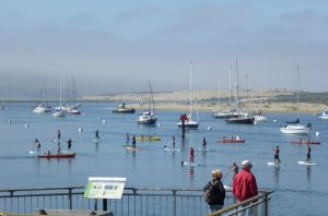 A busy summer day on Morro Bay.