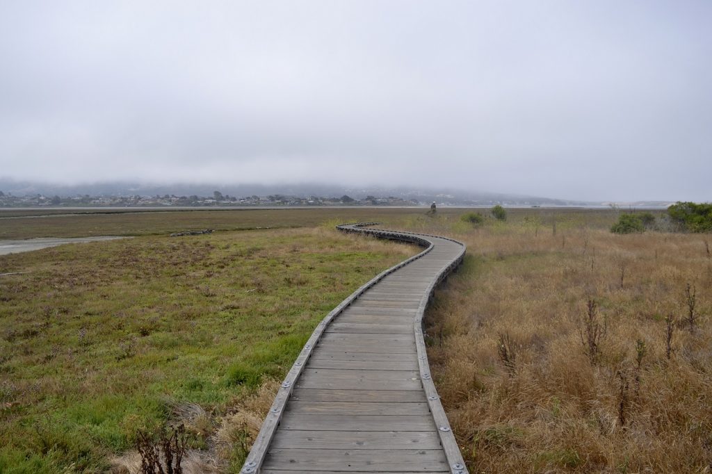 Staying on boardwalks, when they're available, and other established trails reduces erosion and protects sensitive plants from being trampled.