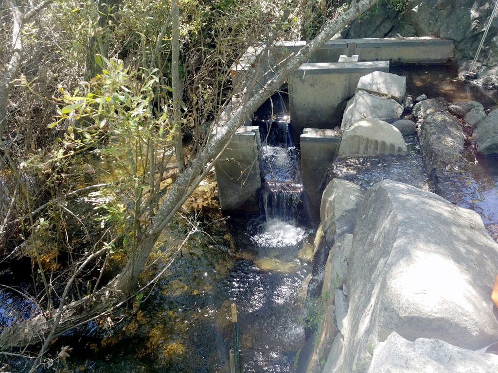 This structure can be a barrier for fish to get up, limiting their access to habitat upstream. This construction project will remove the barrier, and replace it with a series of pools. 