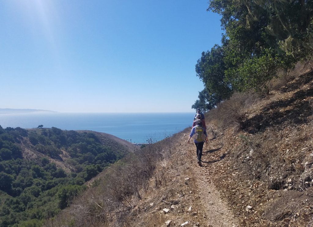 Estuary Program staff members hike a trail on the steep hillside. 