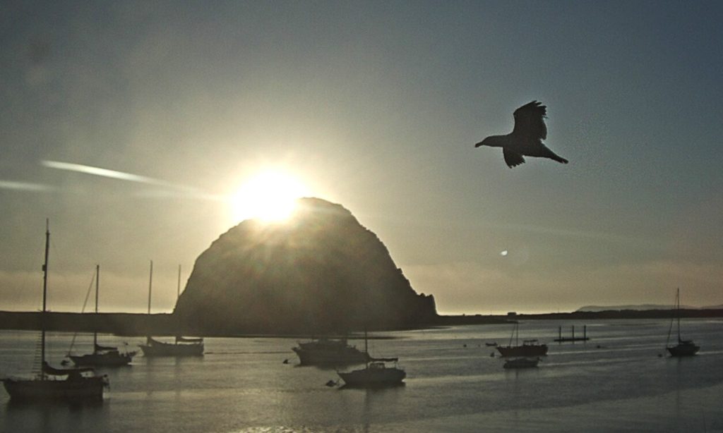 Sunsets over the bay can be bring both bright light and an abundance of long shadows. 