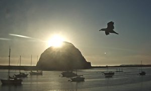 Sunsets over the bay can be bring both bright light and an abundance of long shadows.