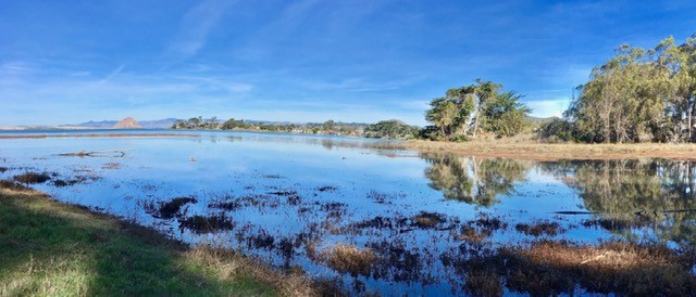 The estuary waters meet the blue sky in this photograph, courtesy of Joyce Cory, State Parks Docent.