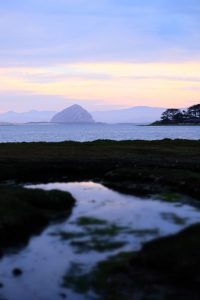 Sunset photograph of Morro Bay estuary with Morro Rock in the background.