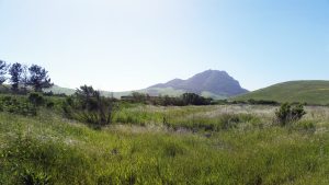 Walters creek restoration