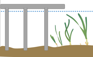 A pier shades eelgrass blades, leading to lower growth rates.