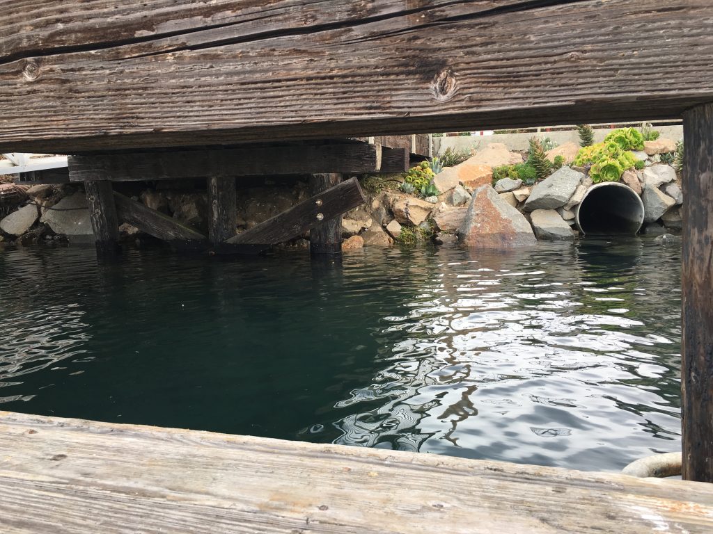 The extra-high tide began to flow into this storm drain along the Embarcadero. 