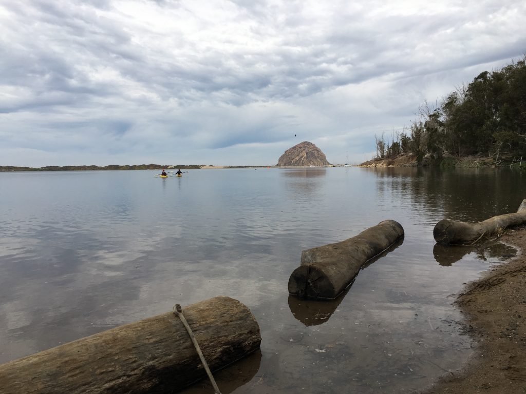 This 6.9-foot high tide in January of 2018 covered the mudflats at Windy Cove entirely and flowed into the parking lot. 