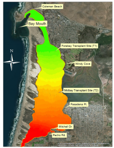 This map is illustrates the gradient of high chemical concentrations in red to low chemical concentrations in green. Most of the high concentrations are in the back bay while the low concentrations are in the forebay