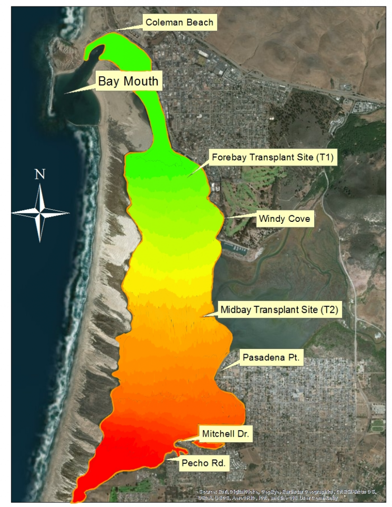 This map is illustrates the gradient of high chemical concentrations in red to low chemical concentrations in green. Most of the high concentrations are in the back bay while the low concentrations are in the forebay