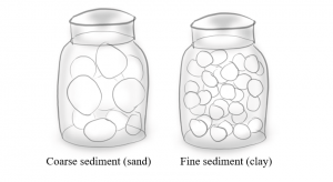 These two jars are the same size and filled with sediment. Coarse sediment (sand) fills the jar on the left while fine sediment (clay) fills the jar on the right. Through which sediment sample can water molecules flow the most easily?