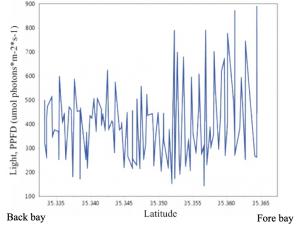 Though light levels vary a lot in each section of the bay, there is a general pattern of lower light levels in the back bay and higher light levels in the fore bay.